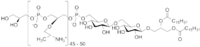Image illustrative de l’article Acide lipotéichoïque