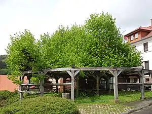 Lischeid (de).