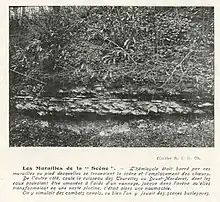 Photographie en noir et blanc avec des arbres en arrière-plan et un mur au premier plan