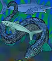 Dessin de   Listracanthus hystrix.