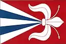 Drapeau de Litichovice