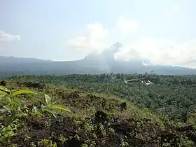 Vue de l'Etinde.