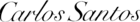 logo de Carlos Santos Shoes