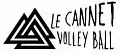 Logo de 2011 à 2017.
