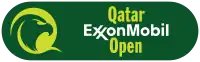 Image illustrative de l’article Tournoi de tennis de Doha (ATP 2012)