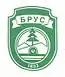 Blason de Brus