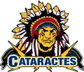 Logo depuis 2008.
