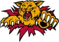 Logo de la franchise à partir de 2018