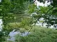 L'étang de Moulin-Mer à marée haute.