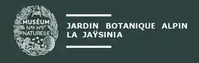 İ)