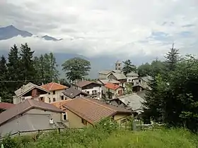 Losa