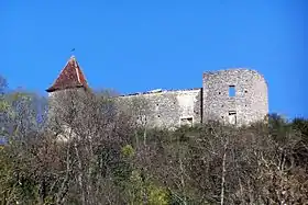 Le château du Cros (mars 2012)