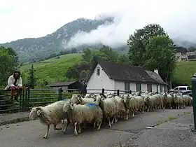 Lourdios-Ichère