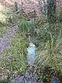 La source, qui se jette dans le ruisseau de Canteloup.