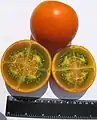 Narangille (Solanum quitoense).