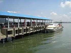 Lumut