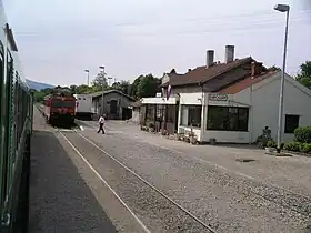Lupoglav