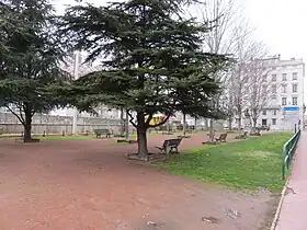 Voir la photo.