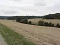 Paysage.