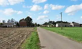 Młody Niedróż