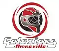 Logo depuis la saison 2012-2013