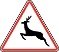 116Animaux sauvages