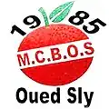 Ancien logo du club