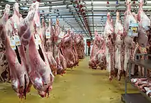 Carcasses de veaux, étiquetées, suspendues au plafond d'un pavillon du marché d'intérêt national de Rungis.