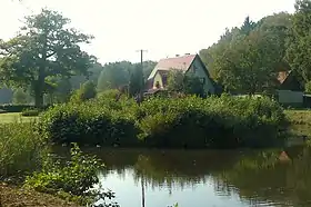 Terespotockie