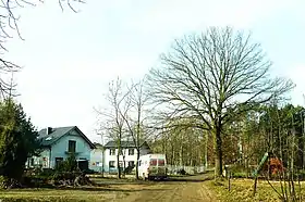Chojno-Młyn