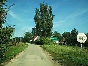 Podjenin
