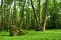 Site naturel sacréé d'Hiis (en)