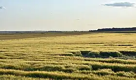 Nowy Machnów