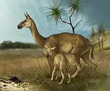 Macrauchenia