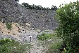 Vue du site