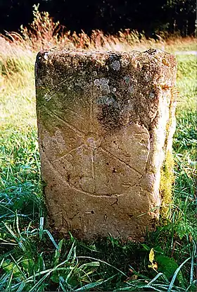 Bockelnhagen