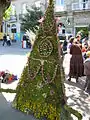 Mayo traditionnel Ourense.