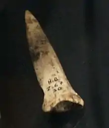 Poinçon en os.