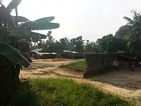 Mangobo