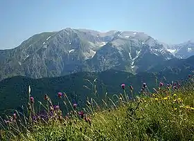 Mont Amaro.