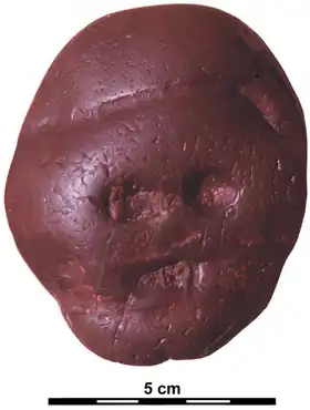 Image illustrative de l’article Galet de Makapansgat