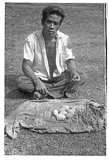 Photo en noir et blanc montrant un homme et les œufs du mégapode de Pritchard recueillis à Vai Lahi, sur l'île de Niuafoʻou en 1967.