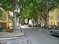 Le cours des Isnards et ses platanes.