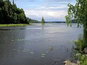 Image illustrative de l’article Mallasvesi