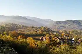 Malo Bonjince
