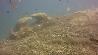 La partie bâbord