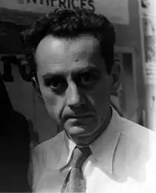 Man Rayaméricain, portraitiste et photogramme