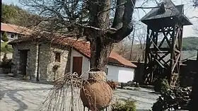 Lepčince