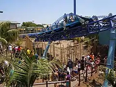 Manta à SeaWorld San Diego