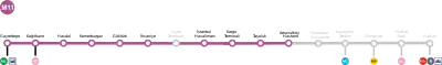Schéma de la ligne en 2022.